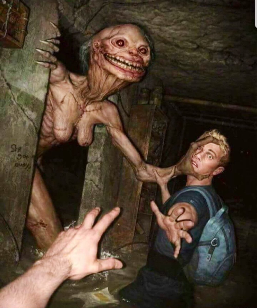 ylevi0's tweet photo. Your friend yells "HELP" and you turn around and see this. What's your next move? https://t.co/49rfWdWqSt