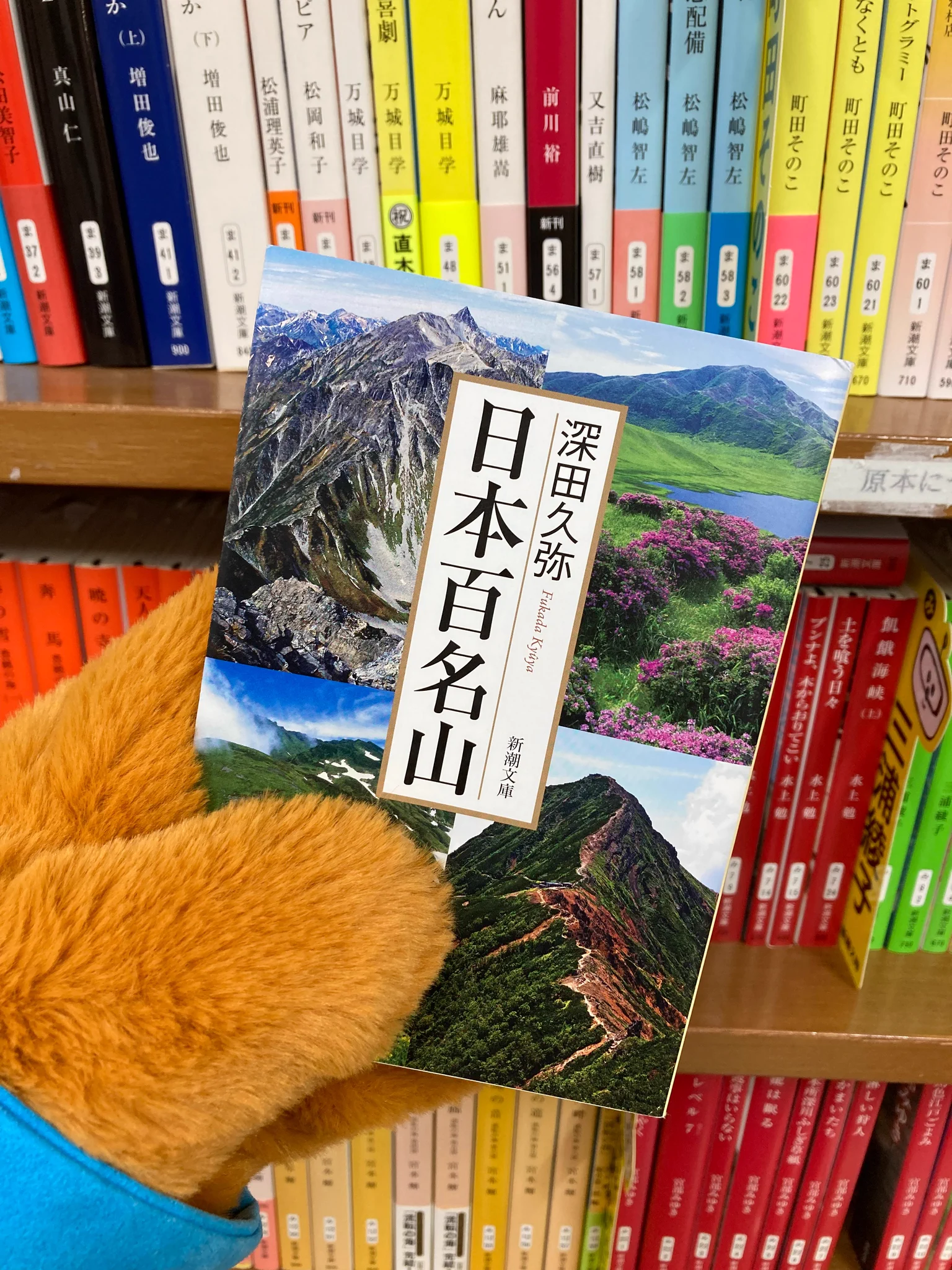 大幅値下げ！日本百名山　朝日新聞出　50冊　ケース付き 新潮文庫 on X: 