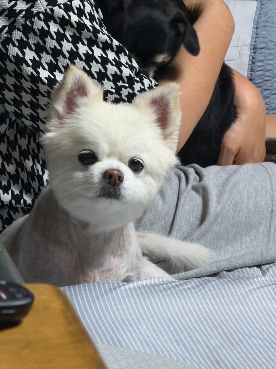 jisungtexts's tweet photo. 💌 2026.09.25 12:31 AM KST

굿나잇! https://t.co/GVY3zJB7WB