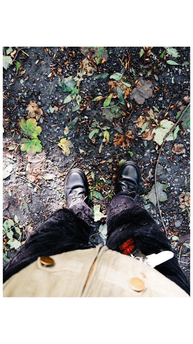 macintoshriver's tweet photo. Keep in touch with what’s tangible #lake #woods #35mm #eire https://t.co/nkd2VZuvec