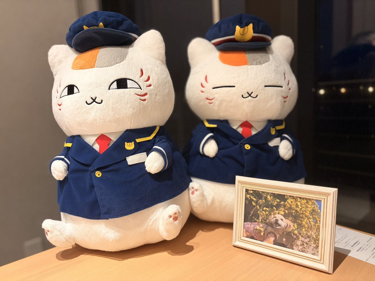 __yuzupon3__'s tweet photo. 人吉のひとたちみんな優しくて温かくて最高ですね
やっと来れたよぉ〜〜〜帰りたくないよ〜〜〜〜 https://t.co/8niqVXJ8nt