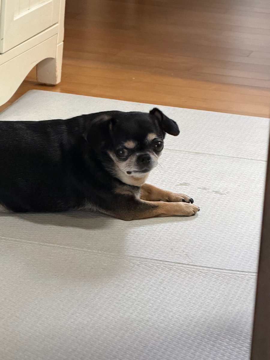 jisungtexts's tweet photo. 💌 2026.09.25 11:30 AM KST

잘잤니!! https://t.co/CyS9Rj6WEq