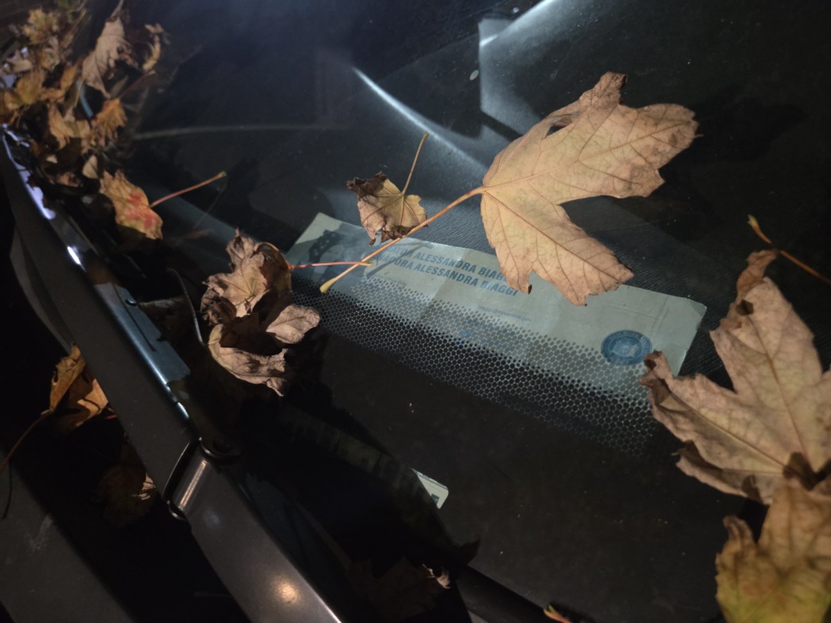 placardabuse's tweet photo. @Biaggi4NY @NotADebacle @SenatorBiaggi @NYCMayor @SDNYnews @NewYorkStateAG @BronxDAClark @NYC_DOI @NYPDTransport @NYDailyNews @JCColtin @WinnHu @dahvnyc @riverdalepress @NYSenate @NYPDnews @NorwoodNews @News12BX @bronxchronicle @errollouis @NYPDPC @bronxbp @stacydriks @JeanmarieEvelly @chayesmatthew @GloriaPazmino @GovKathyHochul @HellGateNY @TinaMoorereport @DeanMeminger @mylesmill @katehinds @GershKuntzman @NewYorkFBI @NYCMayorsOffice @NYCCouncil @StreetsblogNYC @Gothamist @THECITYNY @1010WINS @MKramerTV @Estarkmiller @katie_honan @TishJames @KaylaMamelak @curtmenefee @NYPDChiefOfDept @NJ_MVC @NYCSHERIFF The @NYPDnews really wants to make sure that New Yorkers know that they're never going to do anything about their buddies illegally operating a #GhostCar as long as they can get away with their #CultureOfCorruption.
#NYPDinsurrection https://t.co/UjDSCfuMdo