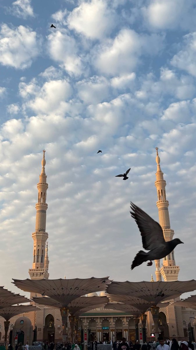 FM13810396's tweet photo. أرض السكينة، ومأرز الإيمان، هي النور الباقي وسط ظلمة هذه الدنيا ووحشتها، يرميها بسهم أراذل خلق الله ويصفق لهم من ظنناهم أخوة لنا من شرق وغرب.. 

اللهم احفظ مدينة حبيبك محمد صلّى الله عليه وسلّم واحفظ أهلها، واصرف عنهم كل منافق وخبيث ومعتدٍ أثيم. https://t.co/a5z2g6GZcL