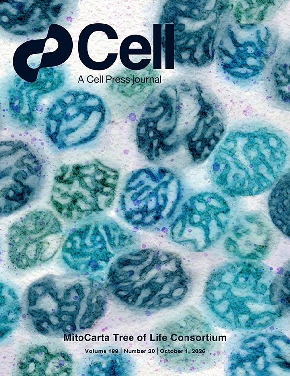 CellCellPress's tweet photo. Our new issue features the MitoCarta Tree of Life (MitoTOL) Consortium👉https://t.co/uP2kI6DjtL

On the cover: a transmission electron micrograph of mitochondria , digitally rendered in the style of a watercolor painting. https://t.co/jfd0iSQpxF