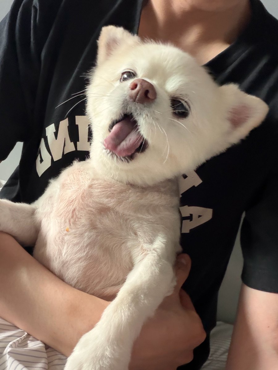 jisungtexts's tweet photo. 💌 2026.09.26 10:00 AM KST

굿모닝!!!!!! https://t.co/V5lSQchMb5