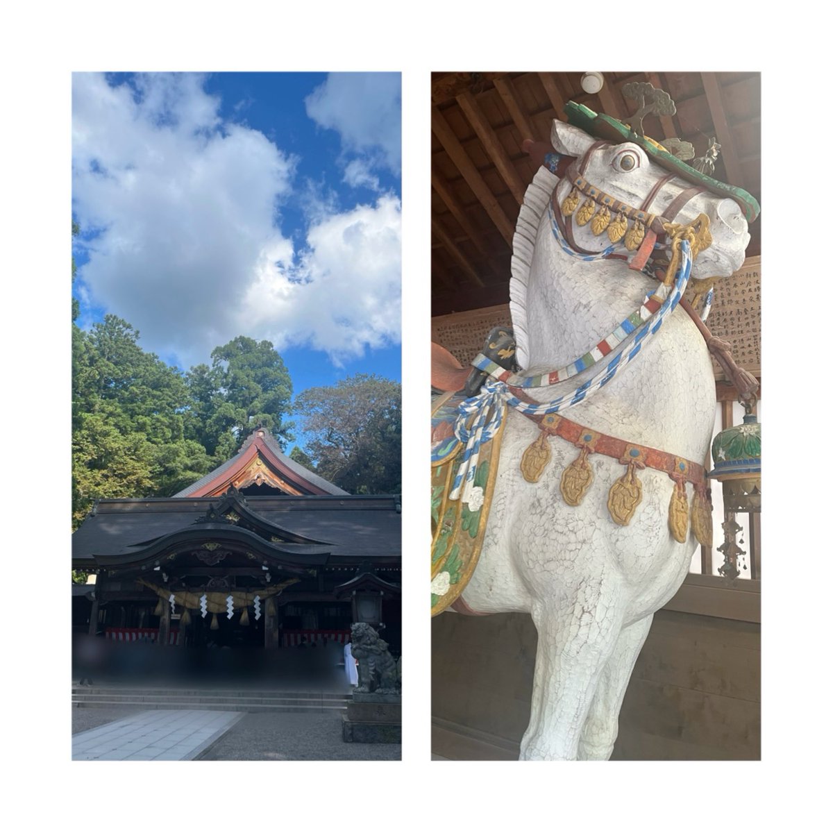 jaafiika's tweet photo. モチベ高かったので単騎厄祓いへ！
祈祷受けるのもほんと1人きりだった😂
ハピバワタシ〜！ https://t.co/diXoFcm24v
