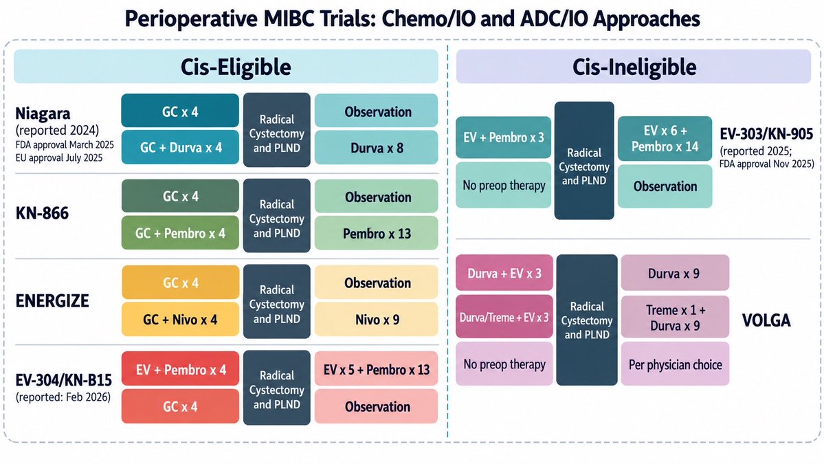 Yüksel Ürün — #ESMO26 infographic or slide