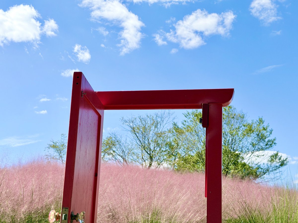 enjoy_expo's tweet photo. 万博記念公園・花の丘ではピンクの穂が美しいミューレンベルギアが見頃に

2026.10.02 https://t.co/4OT7lsiDY9