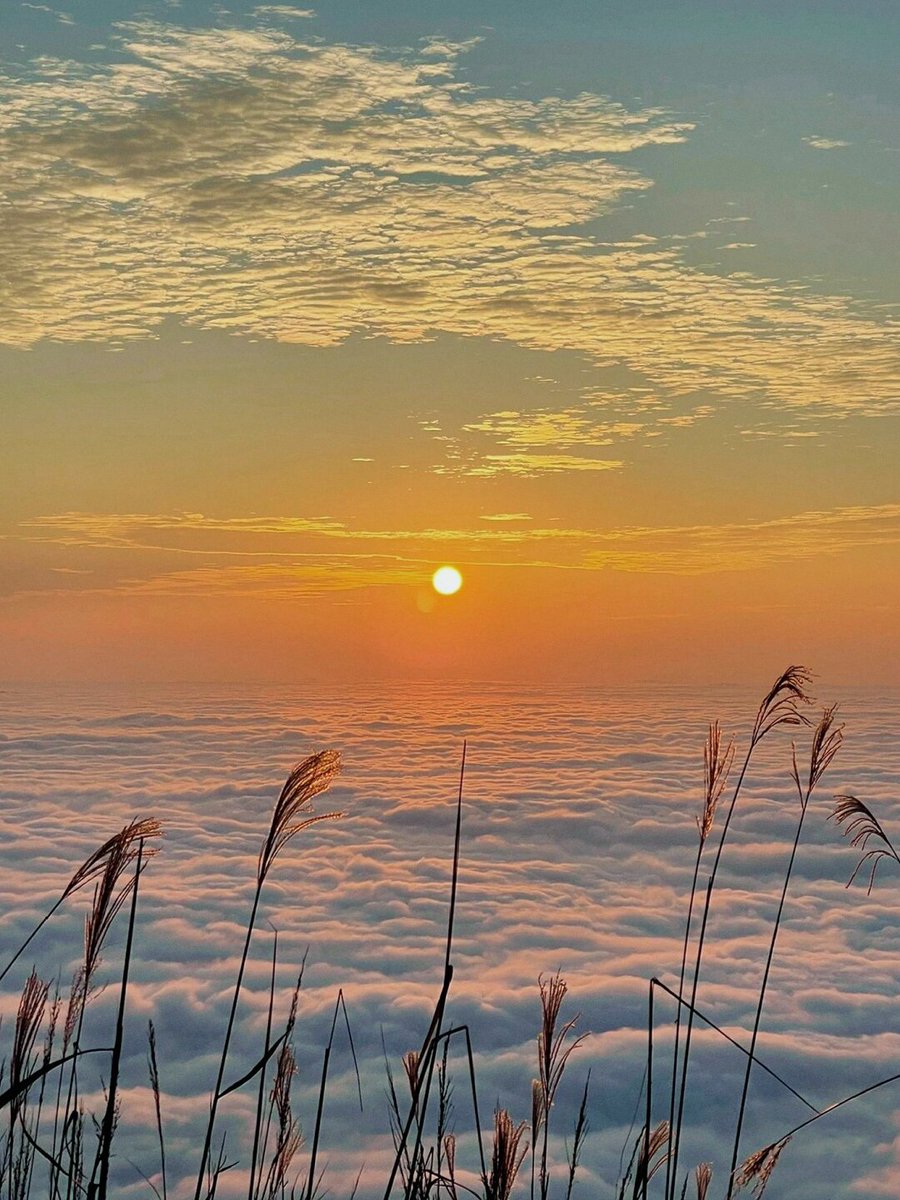 nel_lud4633's tweet photo. "Wei Rongyong, the unfulfilled wish in his heart, is like a hill that waits to be climbed—keep going for your goal! "， https://t.co/KpCqfG2Scc