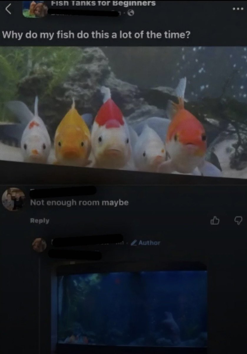 SUNN0BEATS's tweet photo. IVE BEEN LAUGHING AT THIS FOR 5 FULL MINUTES NOW https://t.co/uA3tYwZk0Q