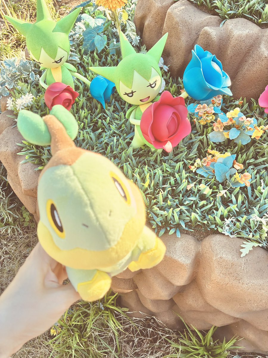fuki_tnpr's tweet photo. 昨日は姉と母とポケパーク満喫してきました！✨
めっちゃ自我の私服ですがイーブイサングラス合ってて正解でした🖤
(ほんとはニンフィアの耳がほしかったんですが売り切れだった…)
天候にも恵まれ、フォレストにくさポケいっぱいいて最高でした！🌱 https://t.co/09LEW51NLL