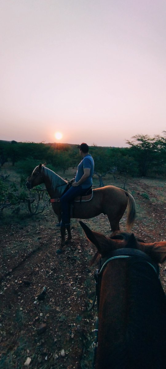 CaioBar76's tweet photo. Do Instagram pra cá 🔥🐎 https://t.co/Bhi6jsg3kl