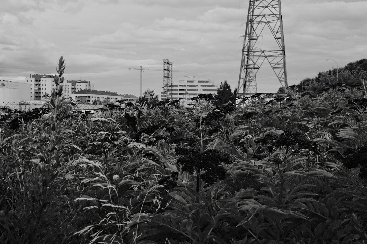 manguzzzz's tweet photo. Suburban portraits #fujix100VI #documentaryPhotography https://t.co/9Mr8AjVnTE