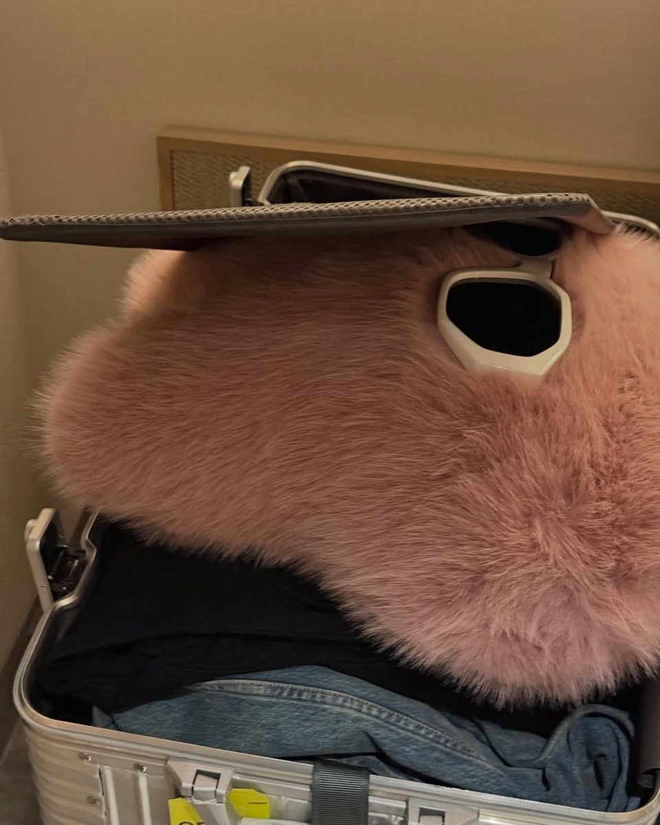 petalsnmandu's tweet photo. he literally could’ve gotten anything but of course he wanted the plushie and it was in japan so he had make space for it in his suitcase😭 https://t.co/z4YAgyuxkB