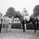 Photo by Claiborne Farm Bloodlines (@ClaiborneBlood)