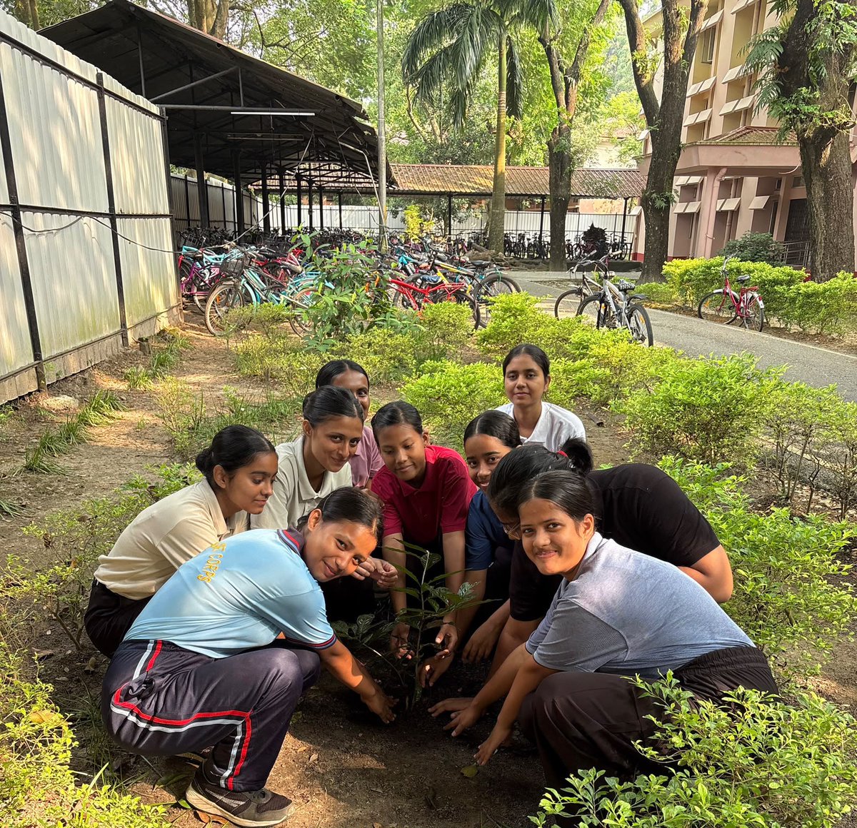ncc_gp's tweet photo. Swachh Parv Harit Parv 
 On the occassion of Gandhi Jayanti , Cadets of Tezpur University and Nagsankar HS, 5 Assam Bn NCC carried out a Cleanliness Drive and tree plantation under the Ek Ped Maa Ke Naam 
The NCC Cadets of Tezpur University planted Saplings in designated areas within the University Campus 
Saplings were procured centrally and distributed to the cadets of Nagsankar HS for planting at their homes and villages . 
The message for a green future was conveyed to the society through the actions of the cadets.@nccner @HQ_DG_NCC