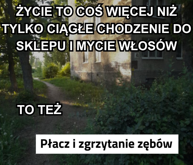 Michalina_Kobla's tweet photo. https://t.co/MDvqH16Skn