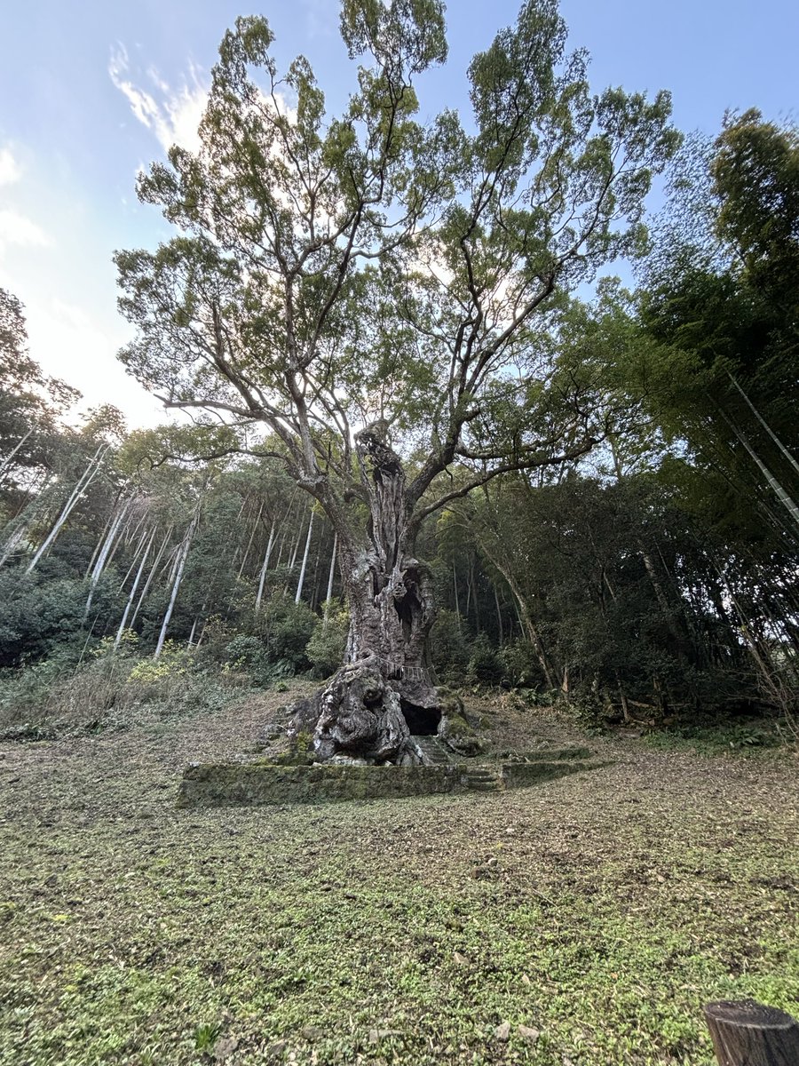 punhetilson67's tweet photo. Bom dia! Hoje é dia de escalar montanhas. Lembro de ter me perdido uma vez. Cuidado, pessoal! Vamos

https://t.co/mPr5rUvwVW