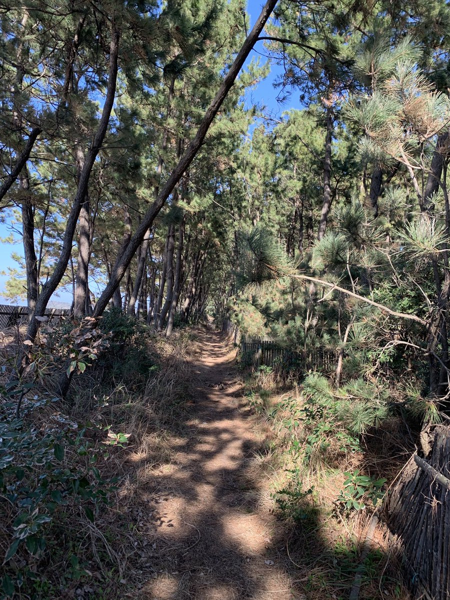 punhetilson67's tweet photo. Bom dia! Hoje é dia de escalar montanhas. Lembro de ter me perdido uma vez. Cuidado, pessoal! Vamos

https://t.co/mPr5rUvwVW