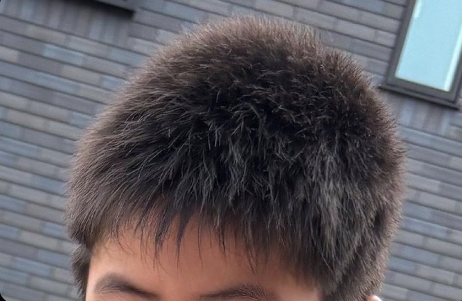 nyanmaru_p's tweet photo. @Nyaou_mania お前の髪質障害のやつやん笑笑
どうも話が通じないわけだわ笑 https://t.co/4UFhaB7SaX