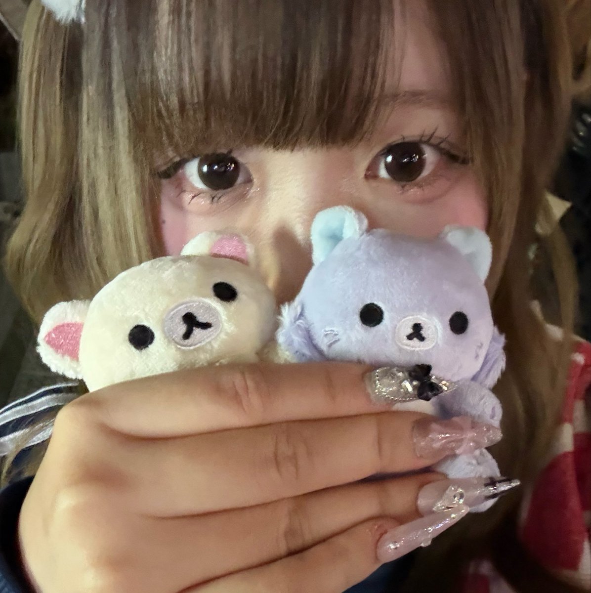 make_neco3's tweet photo. シスハイツアー初日❕＞ꇴ＜
小さな命を手に入れました🖐🏻✨✨🌟 https://t.co/YZUBCnSg2h