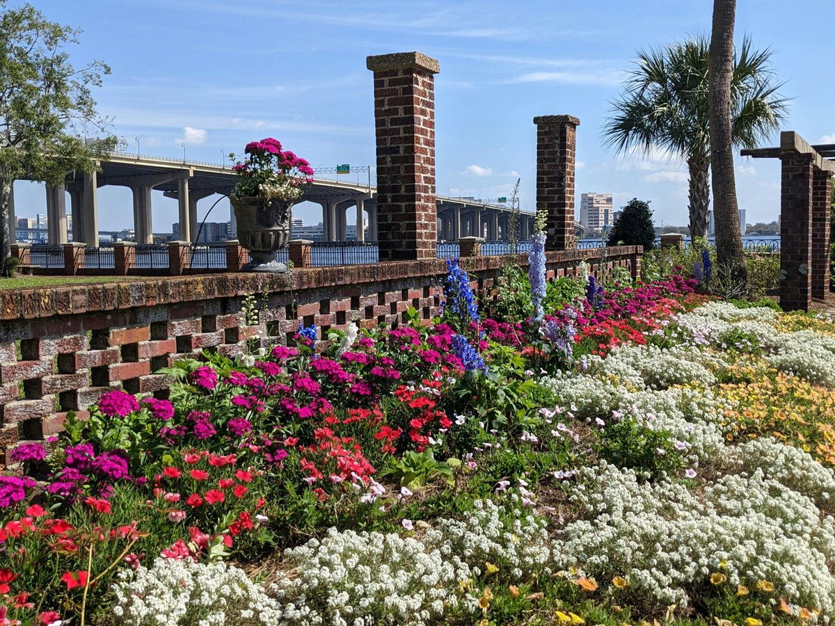 IFlyRhodeIsland's tweet photo. Already dreading the New England cold? Hop on a @BreezeAirways flight and escape to sunny Jacksonville, FL (@jaxairport) where the average temp is still in the 80s! ☀️✈️ #FlyRI

Book your trip today at https://t.co/gvrSRB3oje

📸: @visit_jax https://t.co/UHSw3aPF5j
