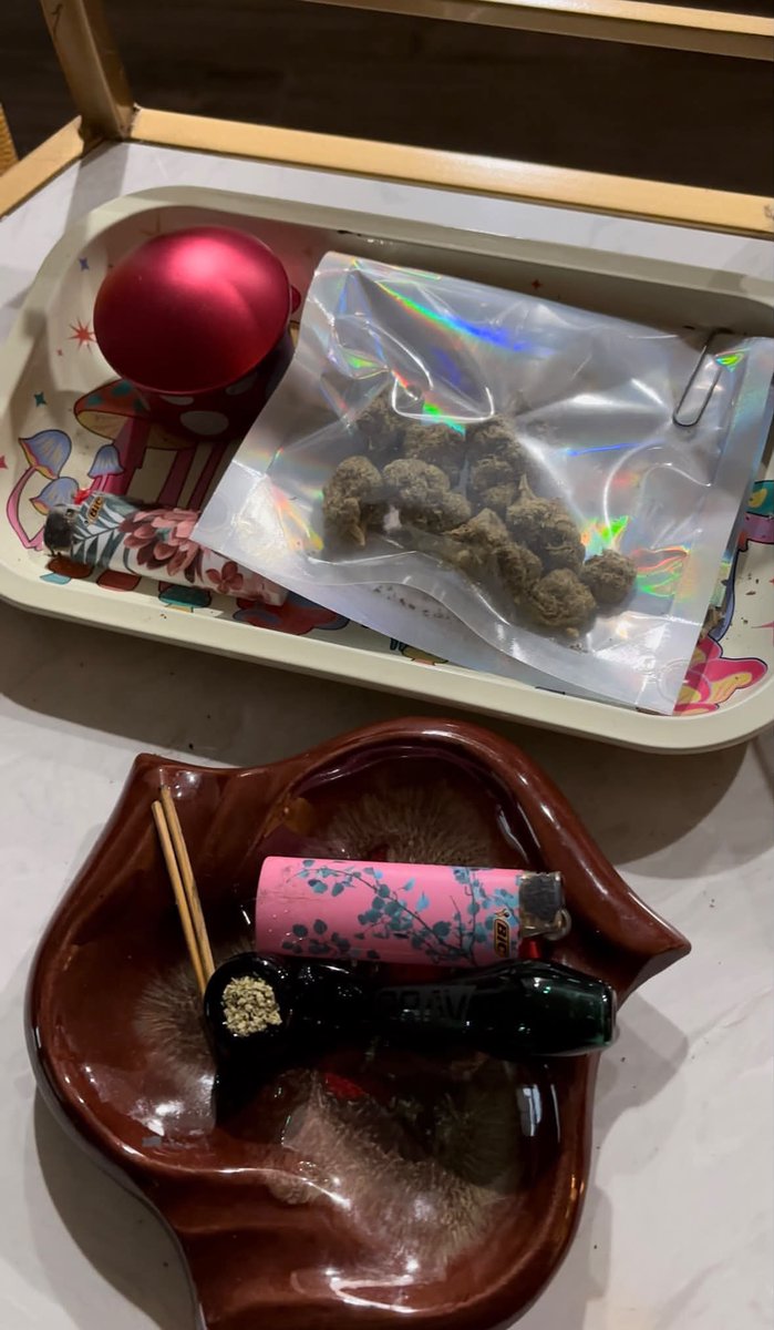 fw_andyyy's tweet photo. Im house sitting for a friend and this is how I was greeted when I walked in. 
I have good friends. 🥰 https://t.co/6lrdWiDT2D