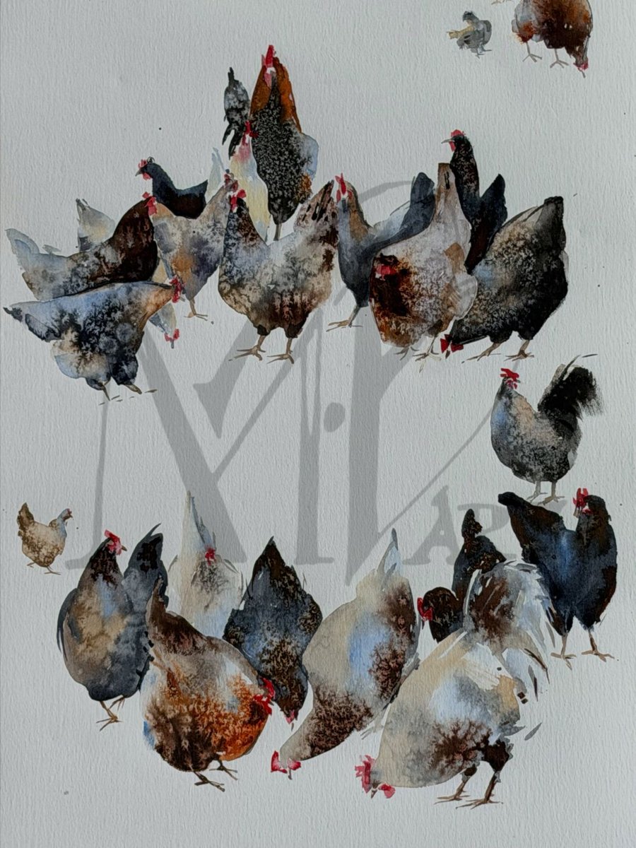 M_BoikivArt's tweet photo. Chicken Bazaar
11 × 36 inches / 28 × 91.5 cm

In this painting, the chickens and chicks become a little market of their own - colourful, expressive, and each with its own personality.

Available here:
https://t.co/CA4jepMxrN

#watercolour #torontolife #chickens #hens #gallinas https://t.co/jnIutbEDKH