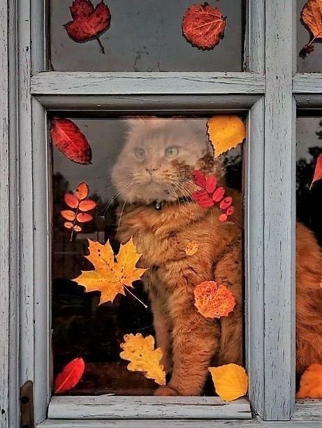 buttercupsart's tweet photo. 🍁 Happy Friday 🍁 https://t.co/ej1sOOYVtI