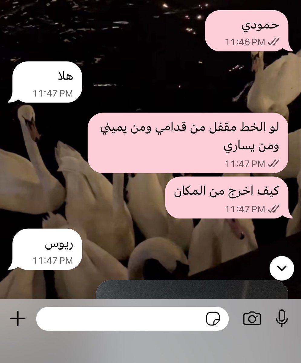 cherrysunie's tweet photo. اعتقد ان اخويا يكره يشوف اشعار رساله مني https://t.co/hWlIfQ8tV0