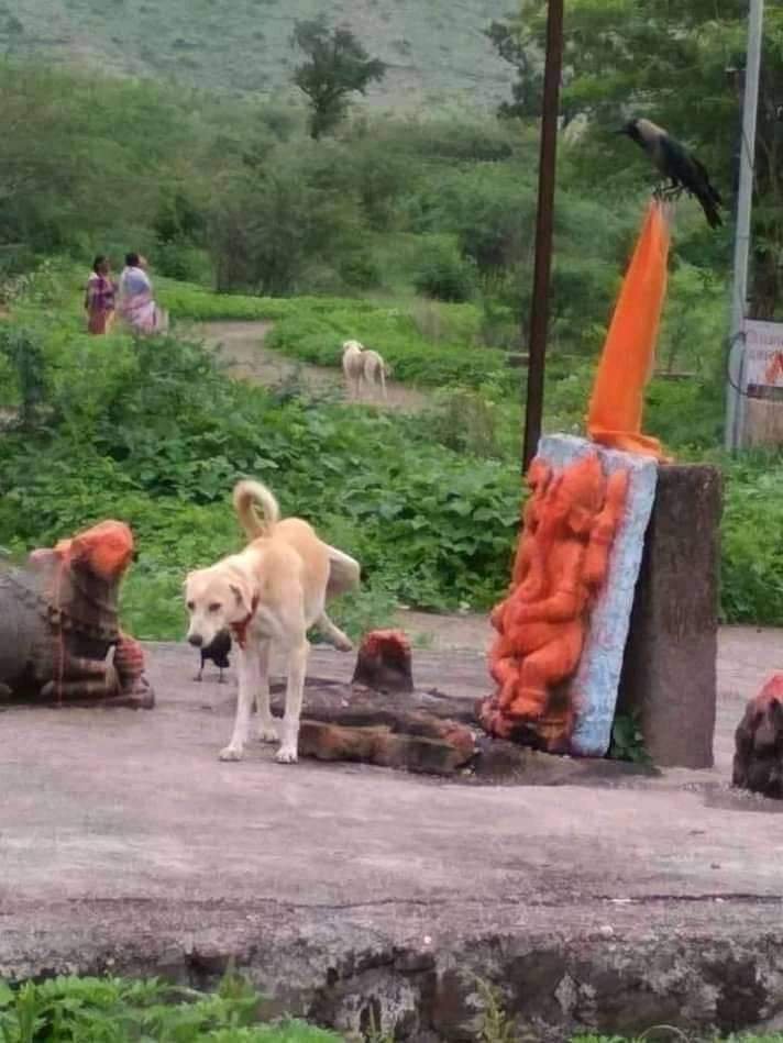_TMAS_0's tweet photo. Vedik kitab Randiyo ka jamghat 😂😂😂 https://t.co/045WPphjVn