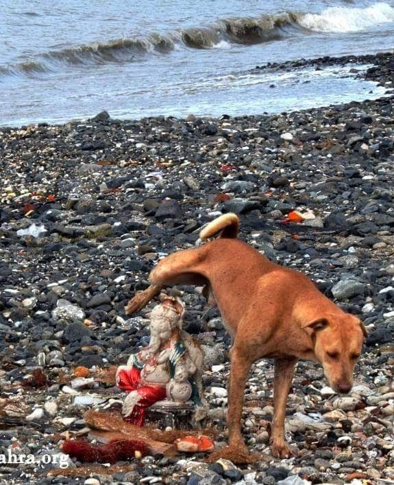_TMAS_0's tweet photo. Vedik kitab Randiyo ka jamghat 😂😂😂 https://t.co/045WPphjVn