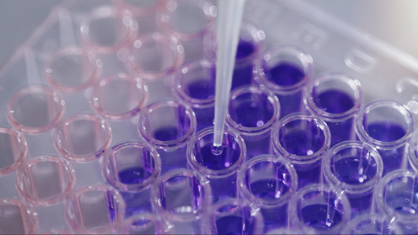 CBPLSSAC's tweet photo. Did you know? @CBP Laboratories &amp; Scientific Services delivers chemical and forensic analysis that supports CBP’s mission, from identifying controlled substances to classifying imports, examining digital media, and processing latent prints and fingerprints. https://t.co/S8VFlQ8YJN