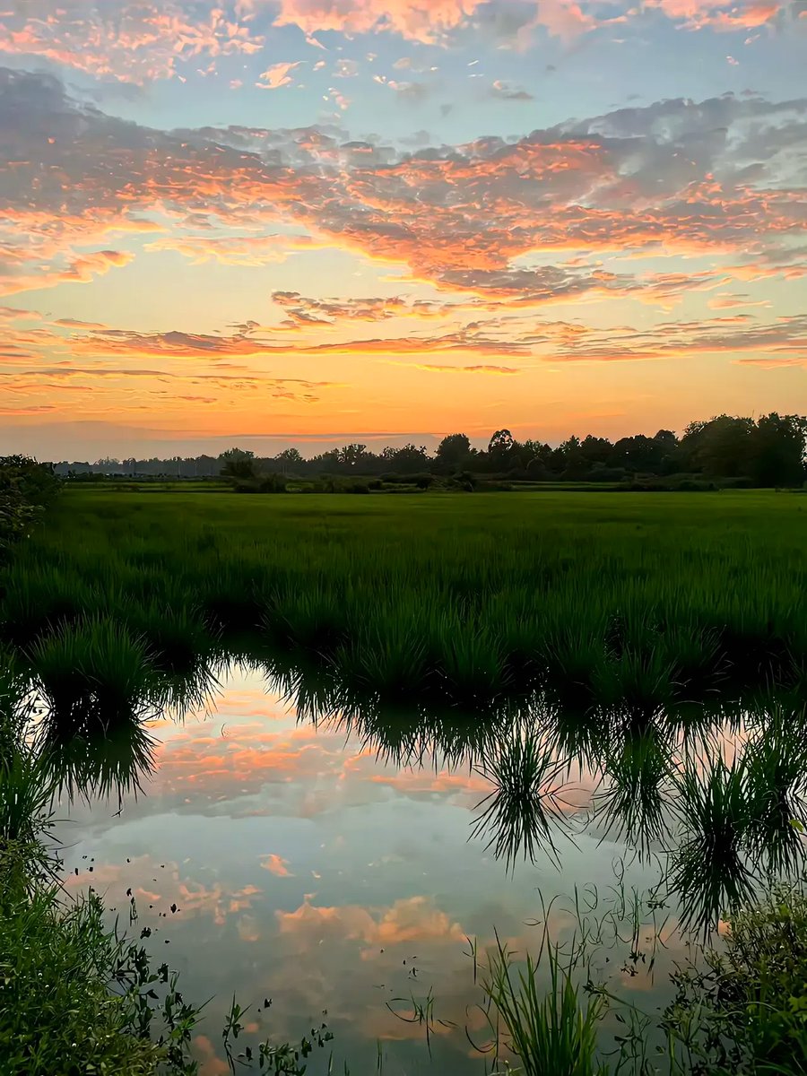 JudeStillabower's tweet photo. Just finished a long run and sitting by the lake, the sunset painted the sky pink—so calm and grateful for this quiet moment.， https://t.co/WdrJ2mDhuJ