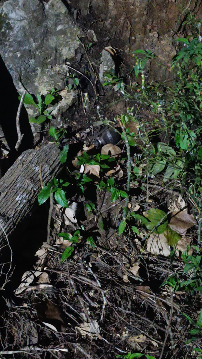 PNCdeGuatemala's tweet photo. Tras una alerta recibida por investigadores de la #DIPANDA, se trasladaron a la aldea Chajquej, San Pedro Carchá, Alta Verapaz, donde localizaron una granada de fragmentación.
De inmediato, se coordinó con #DIDAE y el #MP para realizar el procedimiento correspondiente. https://t.co/APlvfjQQ4H