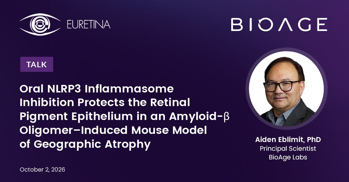 bioagelabs's tweet photo. Geographic atrophy (GA), the advanced form of dry age-related macular degeneration, causes irreversible loss of central vision. Approved treatments require eye injections every month or two, and only modestly slow progression.

Today at the 2026 @EURETINA conference in Vienna, BioAge scientist Aiden Eblimit, PhD, will present a talk about a novel approach to treating GA in a model system: inhibition of the NLRP3 inflammasome.

In mice carrying the human NLRP3 gene, oral dosing with an analog of BGE-102, our clinical-stage NLRP3 inhibitor, dramatically reduced retinal lesion volume and largely preserved the structure of the retinal pigment epithelium, the cell layer that GA destroys.

These preclinical data support oral NLRP3 inhibition as a potential approach to GA, adding to our work in retinal disease alongside the ongoing QUELL-DME Phase 2 trial of BGE-102 in diabetic macular edema.