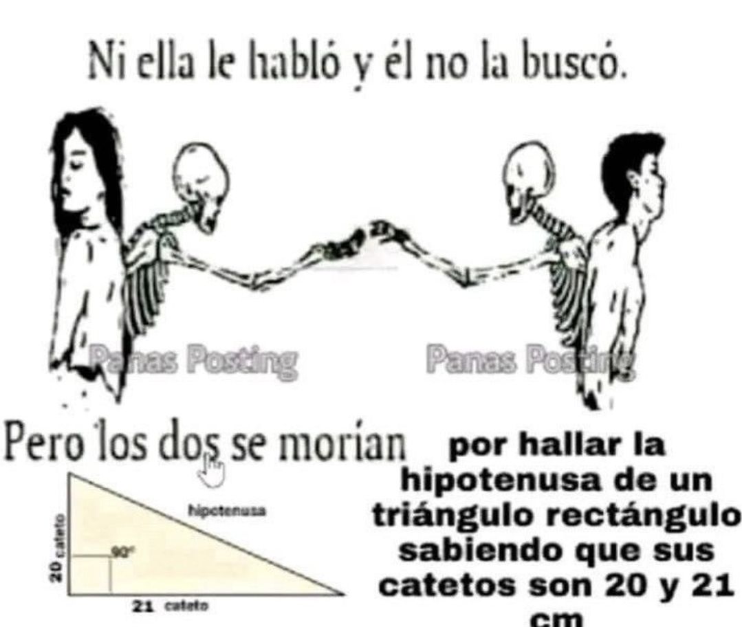 wikipistacho's tweet photo. https://t.co/sRBMbYA6hL