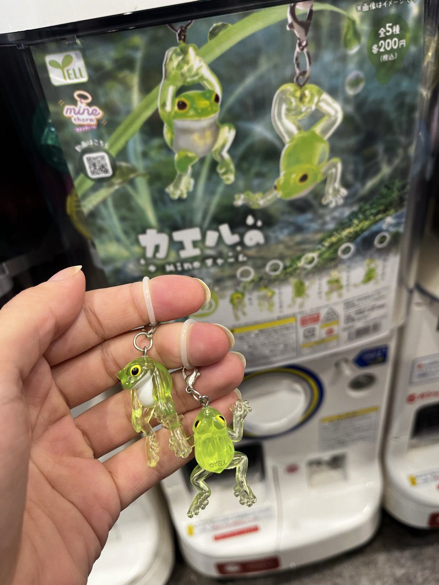 carolinaroda_'s tweet photo. el gacha perfecto SÍ existe https://t.co/aBvP2XBBTJ