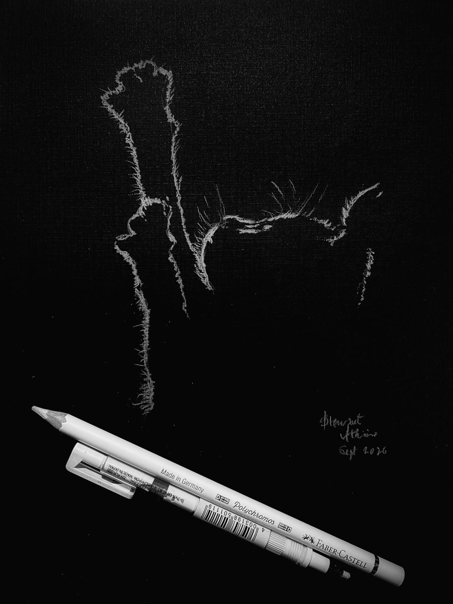 DoylePrangbi's tweet photo. Another sleepless night, another cat sketch. https://t.co/YspluFGOCL