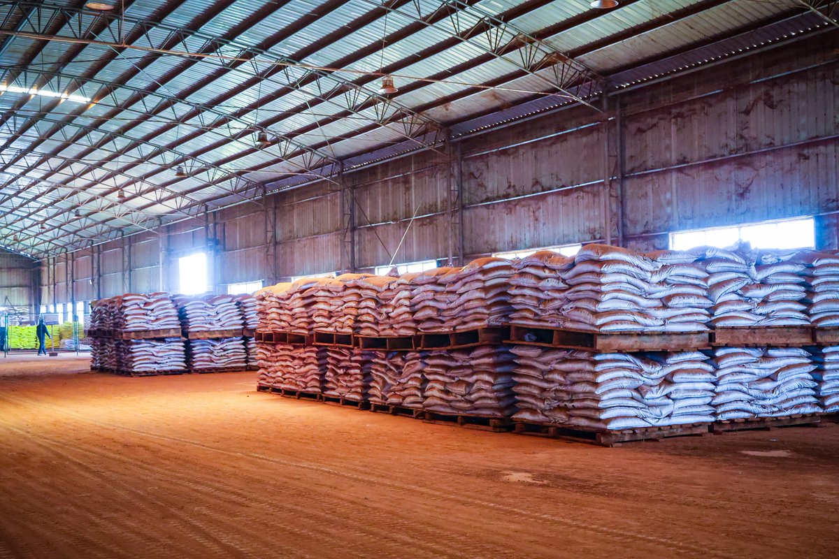 UgandaChamber's tweet photo. The project also highlights the potential link between mineral development and agriculture through industrial-scale fertiliser production.

The conversation continues. The learning goes deeper. #UCEM  @MEMD_Uganda @AshabaA @humfas @Patricia_Litho @PNyamutoro @DrMusenero @irenebateebe @kcbbankug @EcobankUganda