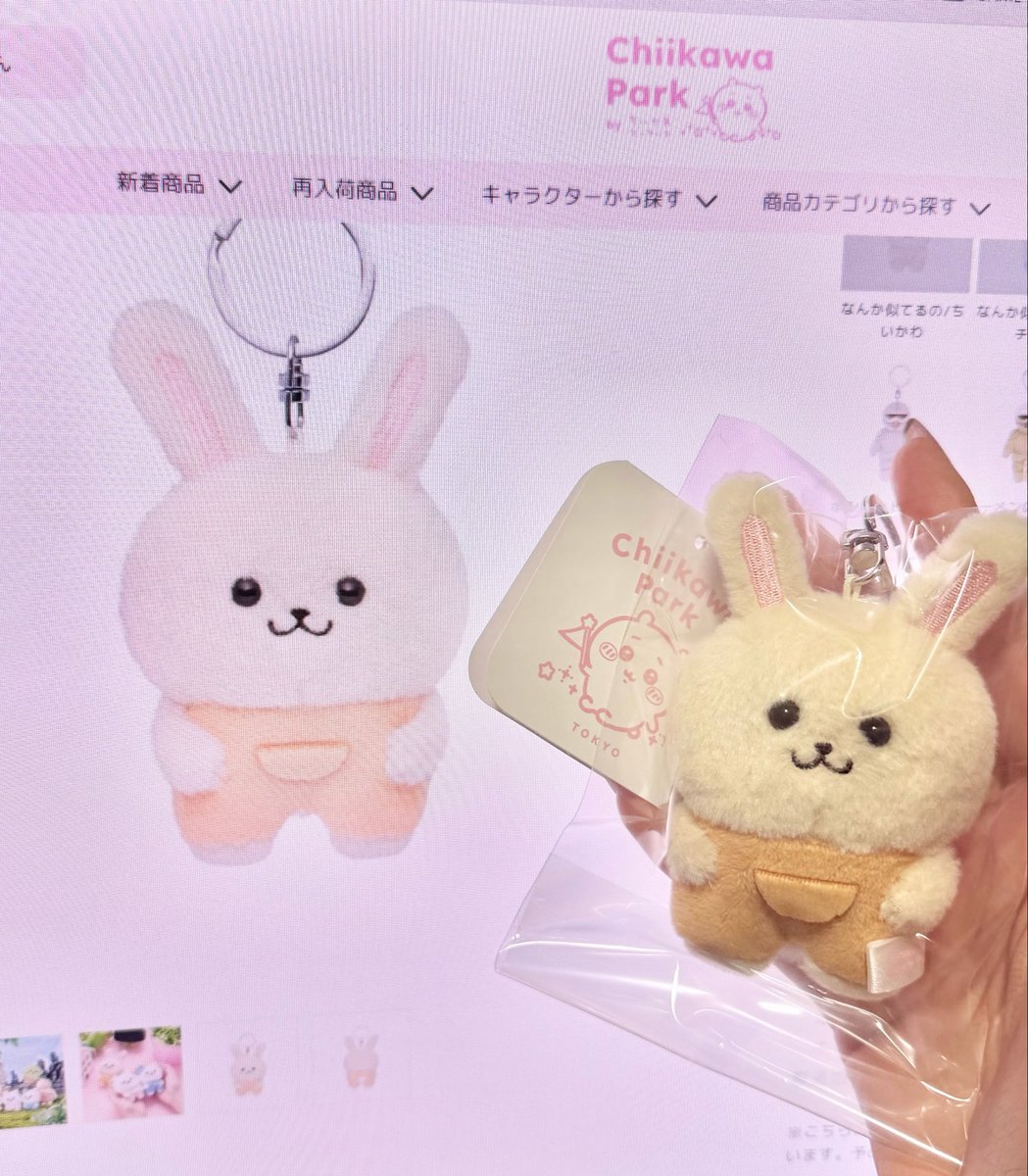 rin_rinco1180's tweet photo. 今日届いたバニアうさ🐰✨️
どう見てもお顔が違くて🤣🤣（愛おしい） https://t.co/T6W2Ruf50a