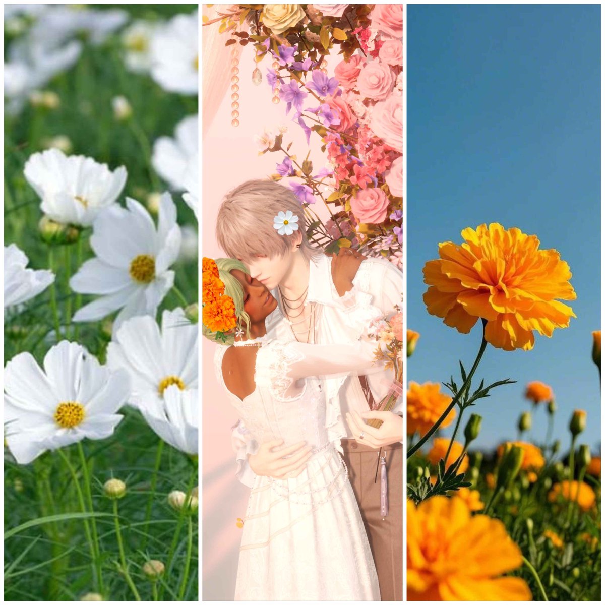 GoldenExuvia's tweet photo. Day 2 flowers:
Xavier and my mc share the same birth month so I used the October birth month flowers: marigolds and cosmos 
#Xavier1016HappyBirthday
#31DaysofXavtober
#HappyOctovier https://t.co/296HVFyFem