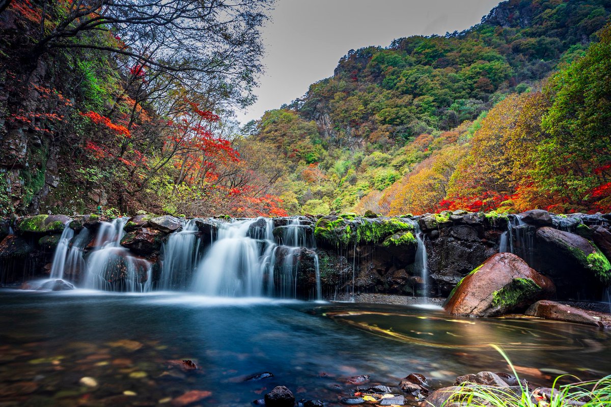 vexoz3517's tweet photo. [I wait for you in the silent autumn days with calm strength.]， https://t.co/UcmZDiisct