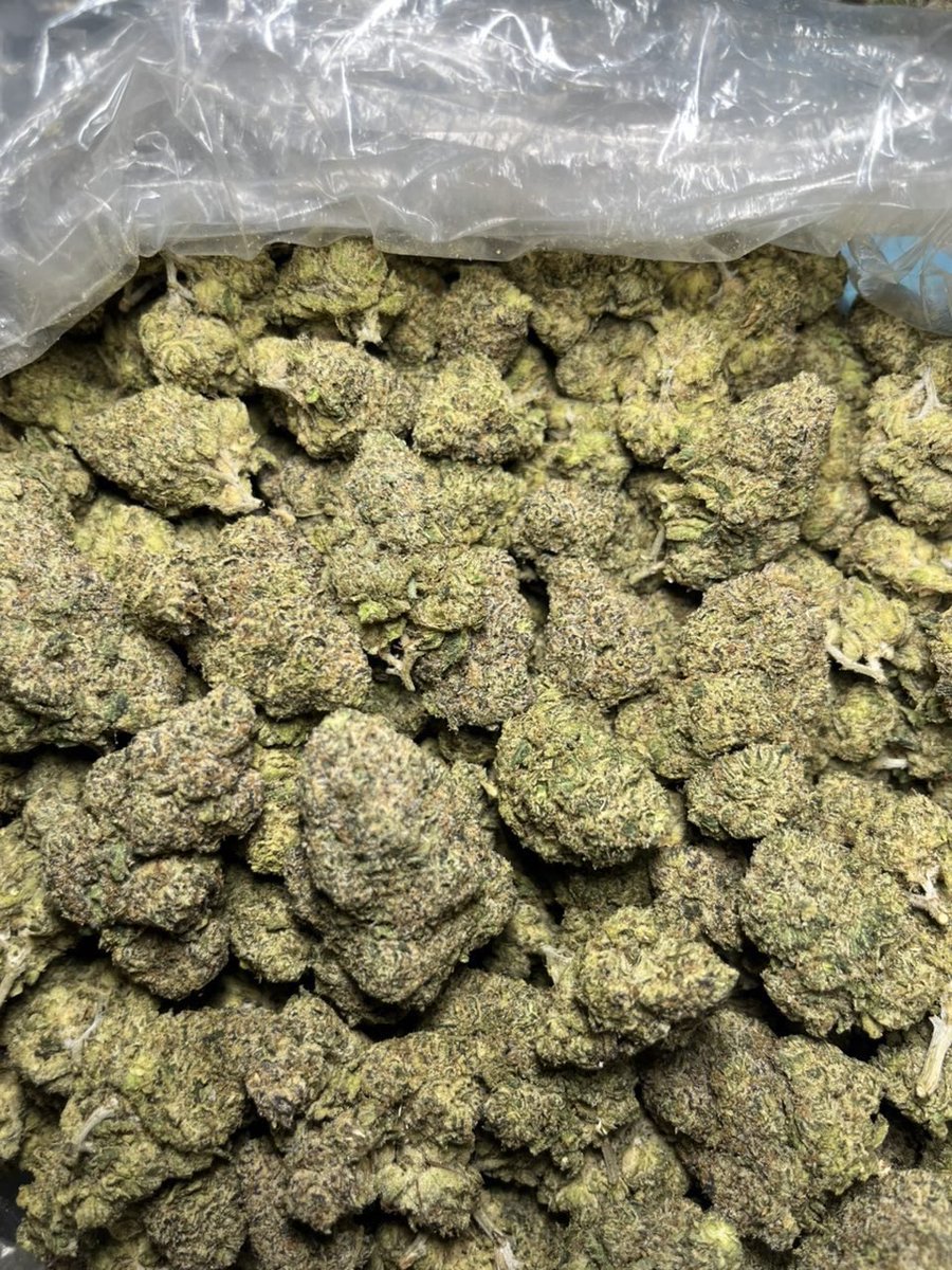 ExoticZaUS's tweet photo. ⬆️ Zkittles (Licensed Indoor) 🌈🍬
Sweet candy nose with a loud fruity aroma 🍭🔥
Clean indoor quality, frosty look, and that signature Zkittles vibe. 👀💨

Who’s rocking with Zkittles? 🌈 https://t.co/55F6PjtSwS