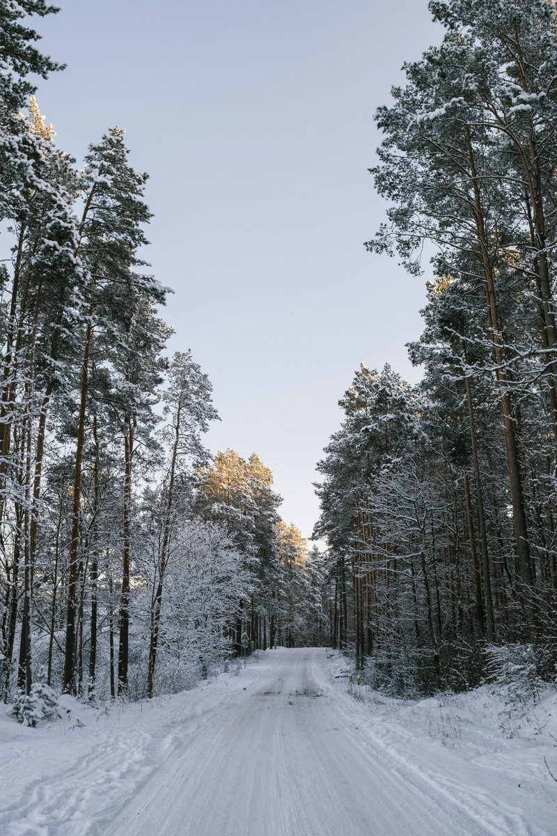 __Earthpictures's tweet photo. https://t.co/0ASDKGdcGr