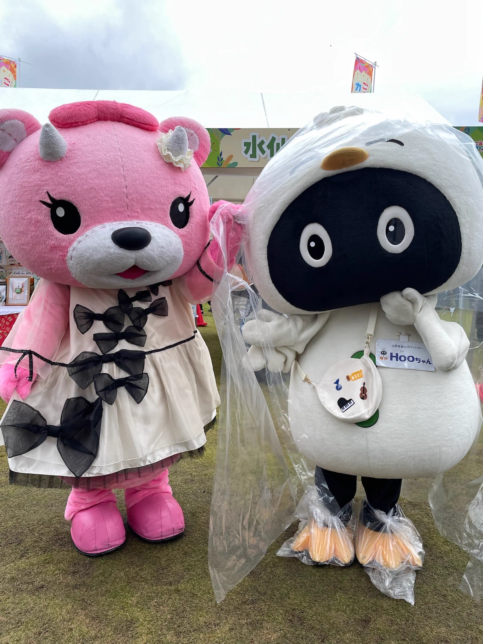 Hooちゃん🐤🎶【山野楽器公式キャラクター】 on X: 