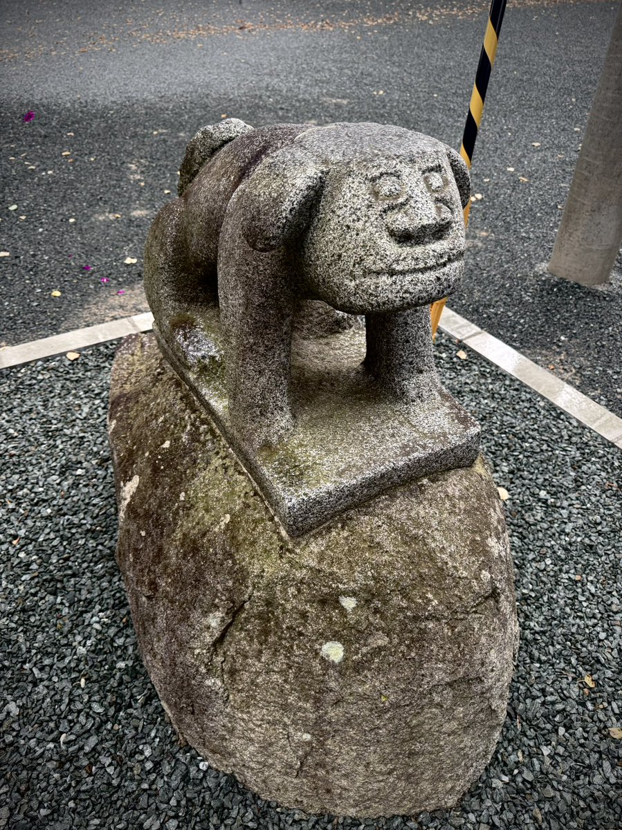 shinjisumaru's tweet photo. 啄木が「よくみると実に愛嬌のある顔だ」と書いた盛岡天満宮の狛犬。これ見たくて盛岡まで来た。 https://t.co/KVjxXixL1e