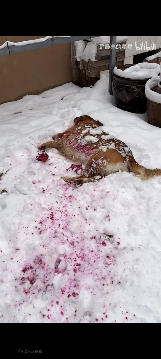 jaychouyltv's tweet photo. @reXchillect https://t.co/smef8mnP3c