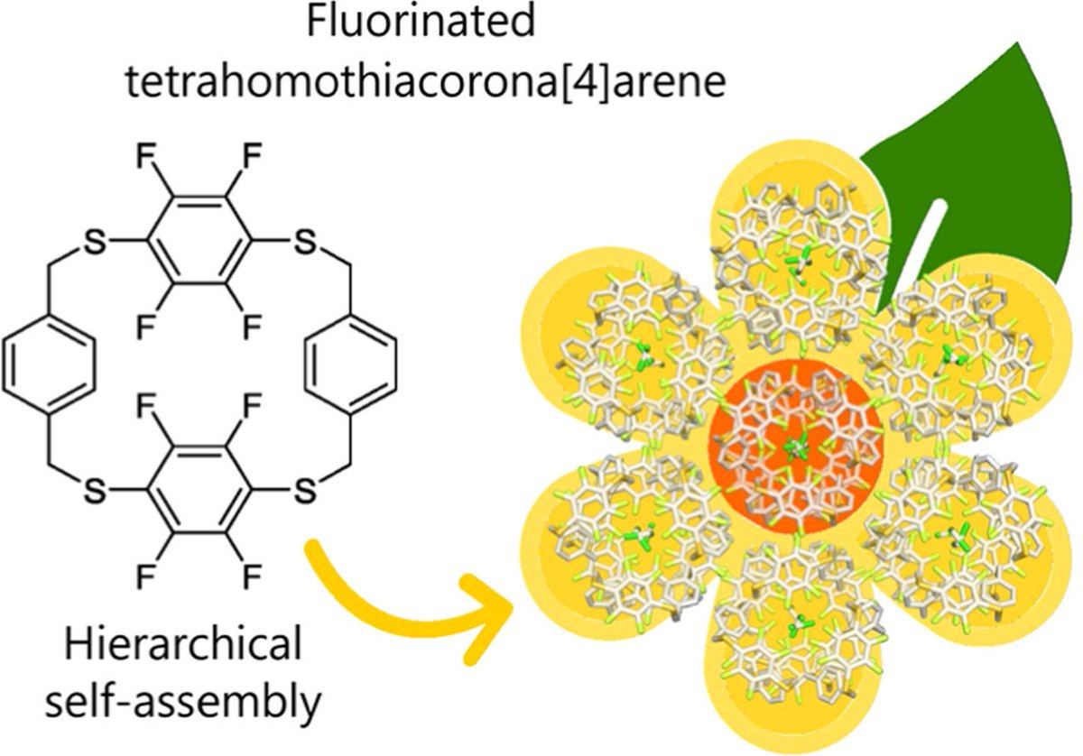 ChinChemLett's tweet photo. Fluorinated tetrahomothiacorona[4]arene: Synthesis and cooperative solvent encapsulation by hierarchical macrocyclic self-assembly

https://t.co/JLmFJ1cYy8 https://t.co/UfE9BpcOzw